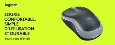 Souris M185 main