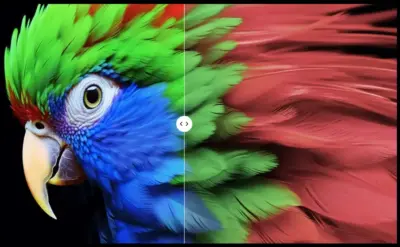 TCL 50C655 display