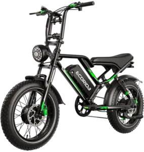 Ecoride ER2