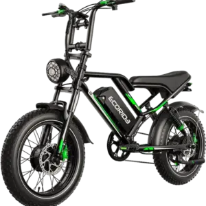 Ecoride ER2