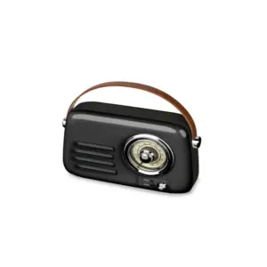 Radio Haut-parleur best sound T10