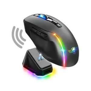 Souris Gaming